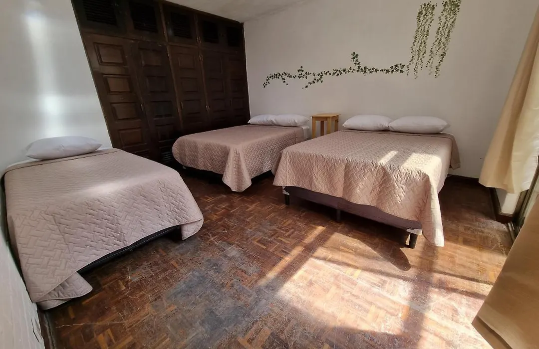 Central Hostel Zona 10-1